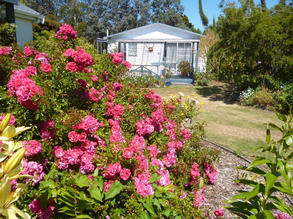 Villa Kepplestone By The Sea - The Catlins à New Haven Extérieur photo
